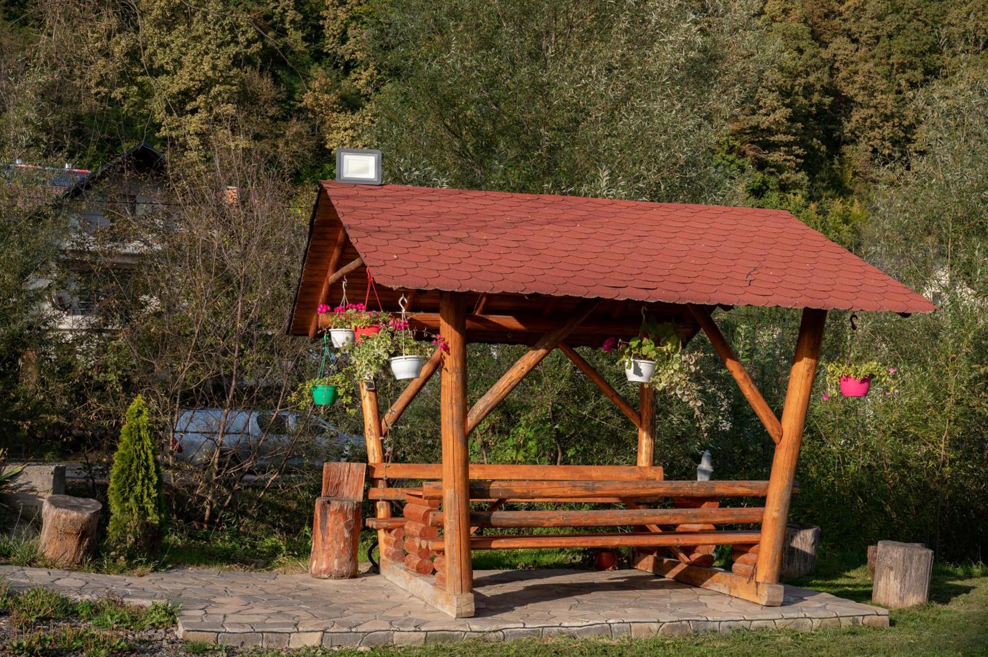 Pensiunea Marinela Sighetu Marmaţiei Exteriör bild